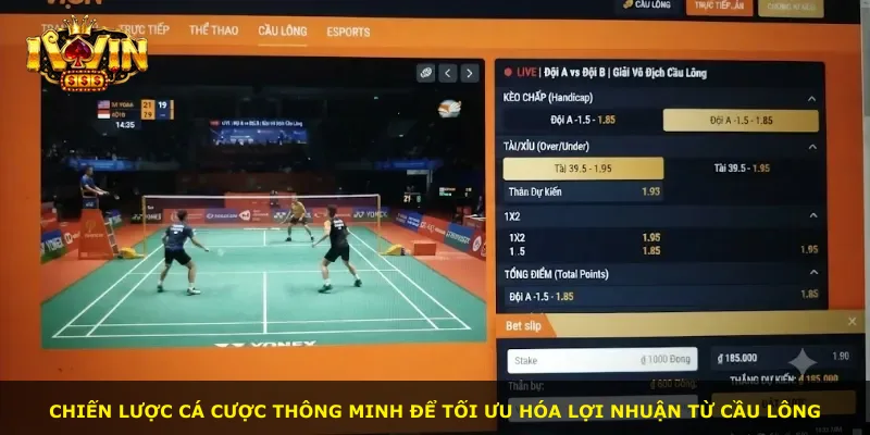 Chiến lược cá cược thông minh để tối ưu hóa lợi nhuận từ cầu lông