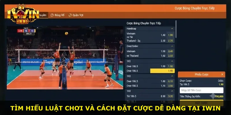 Tìm hiểu luật chơi và cách đặt cược dễ dàng tại iWin